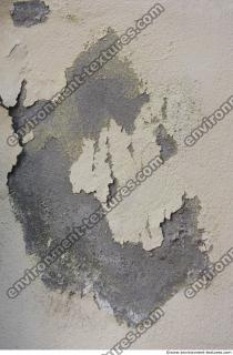 Photo Texture of Plaster 0019